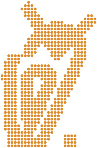 INTENTRON logo